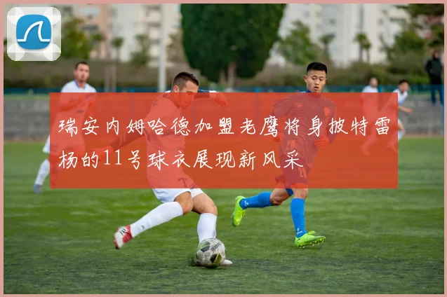 瑞安内姆哈德加盟老鹰将身披特雷杨的11号球衣展现新风采