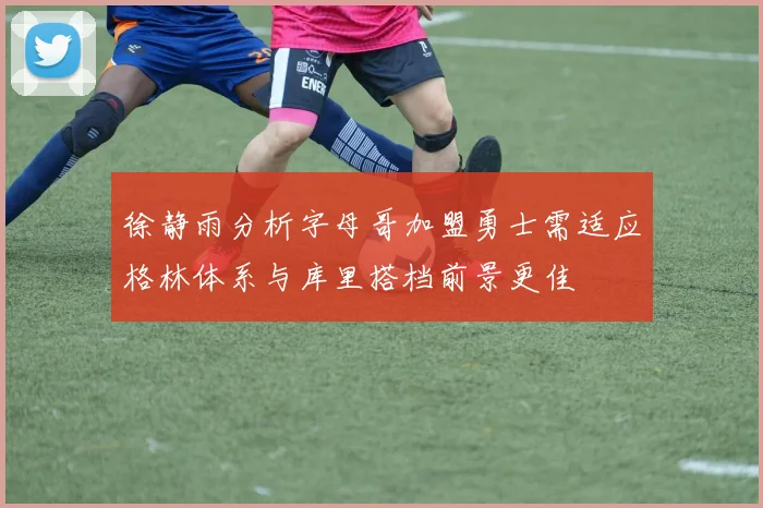 徐静雨分析字母哥加盟勇士需适应格林体系与库里搭档前景更佳