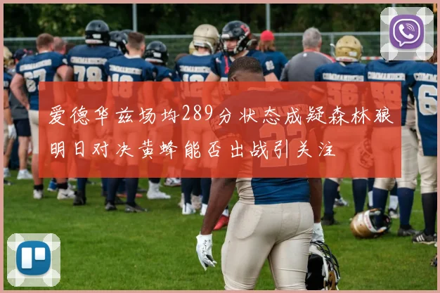 爱德华兹场均289分状态成疑森林狼明日对决黄蜂能否出战引关注